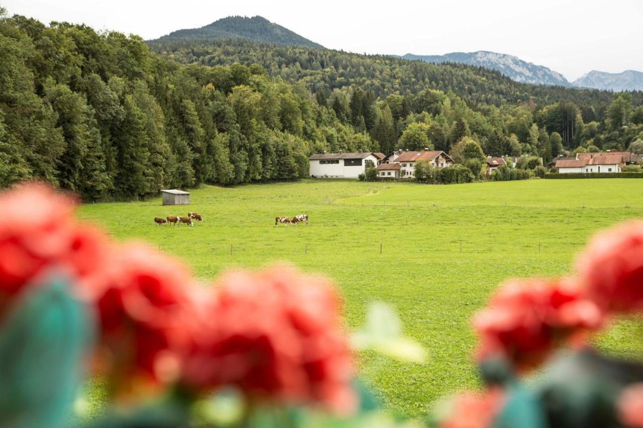 Ferienwohnungen Am Alpenrand Siegsdorf Exterior photo